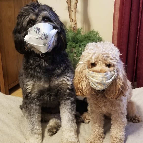 Meet your Posher, Karen - Picture 6 of 7